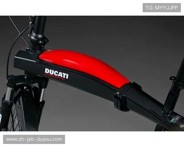 意大利健身器材品牌好不好？用户评价分析